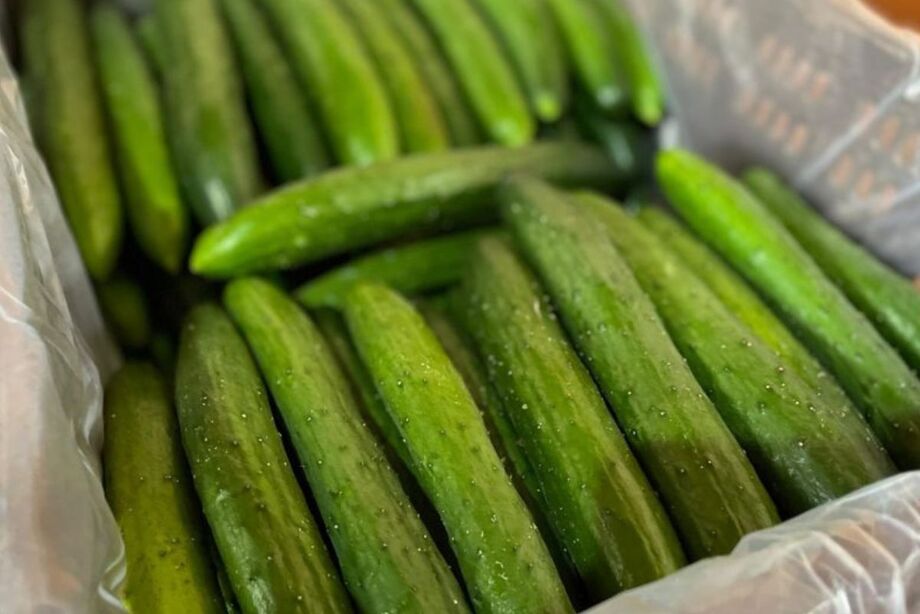 Abóbora cabotiá e pepino comum registram maiores quedas de preço na Ceasa-MS