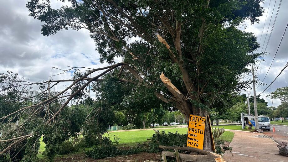 Arvores e diversas estruturas foram destruídas com a tempestade do último domingo (2)