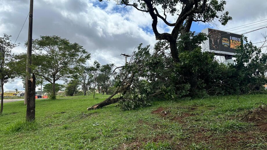 Mato Grosso do Sul está sob alerta de tempestade com previsão de chuva forte, ventos de até 60 km/h e granizo, segundo o Inmet.