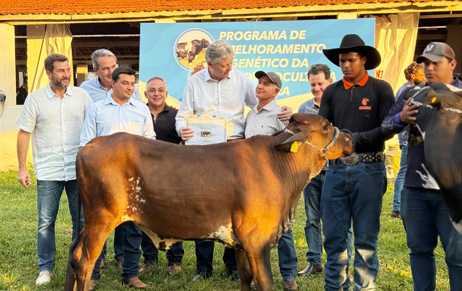 Produtores de MS recebem gado com genética melhorada durante evento em Campo Grande pelo programa Proleite.