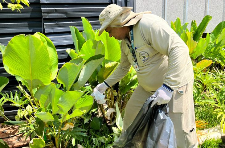 Regiões com índice estável tiveram redução de 63,2% na incidência em 2024