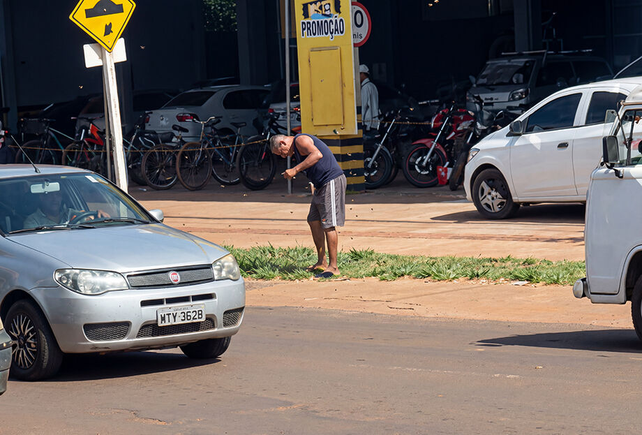 Enxame estava na calha de um pet shop na Rua General Alberto Carlos Mendonça; Bombeiros devem fazer a remoção durante a noite.
