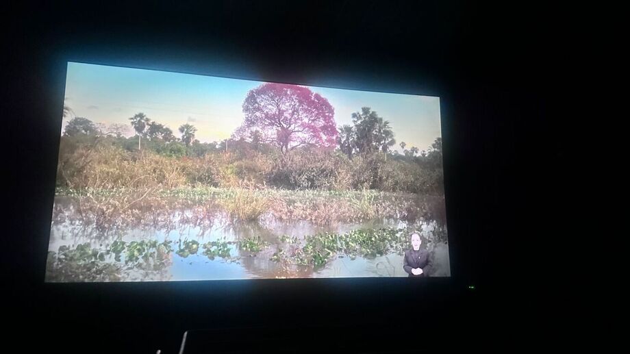 Cena do documentário exibe paisagem do Pantanal com intérprete de Libras, destacando a acessibilidade da produção.
