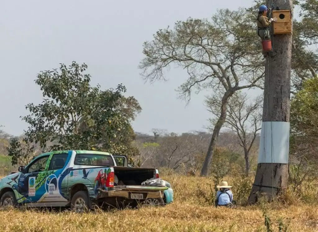 Equipe do Intituto durante monitoramento de ninhos no Pantanal
