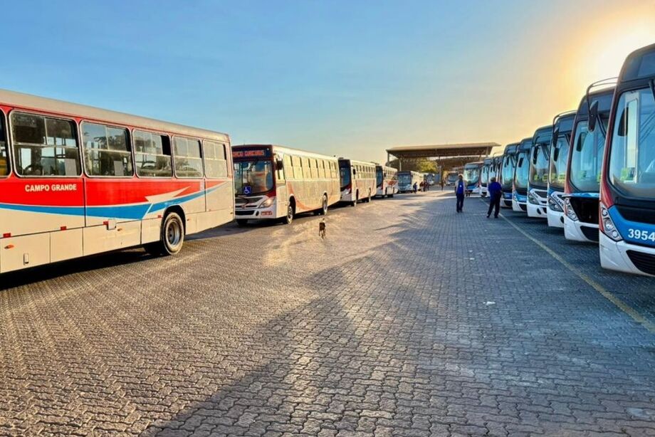 Fecomércio alerta para queda nas vendas de Natal em Campo Grande com greve dos ônibus e pede solução urgente para o transporte.