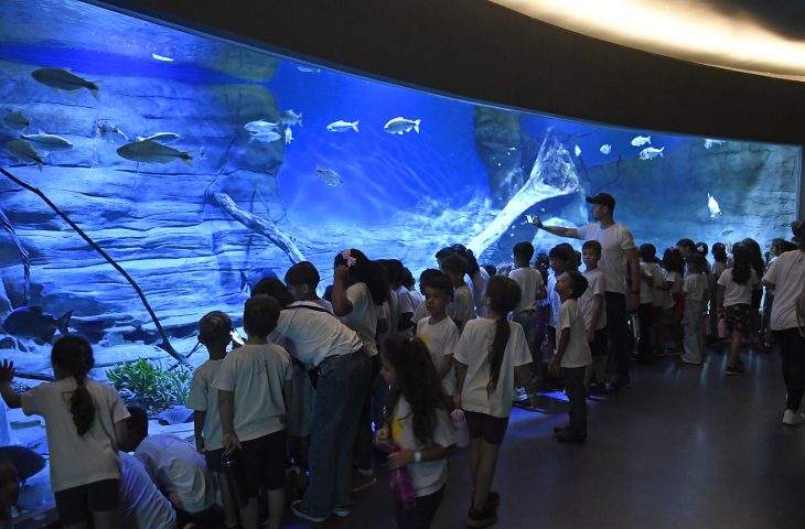 Bioparque Pantanal, em Mato Grosso do Sul, encerra 2025 com reconhecimento internacional por práticas sustentáveis e crescimento no turismo e educação ambiental.