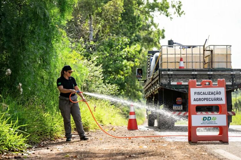 ABPA reforça cuidados de biosseguridade no retorno às granjas durante o período de fim de ano.