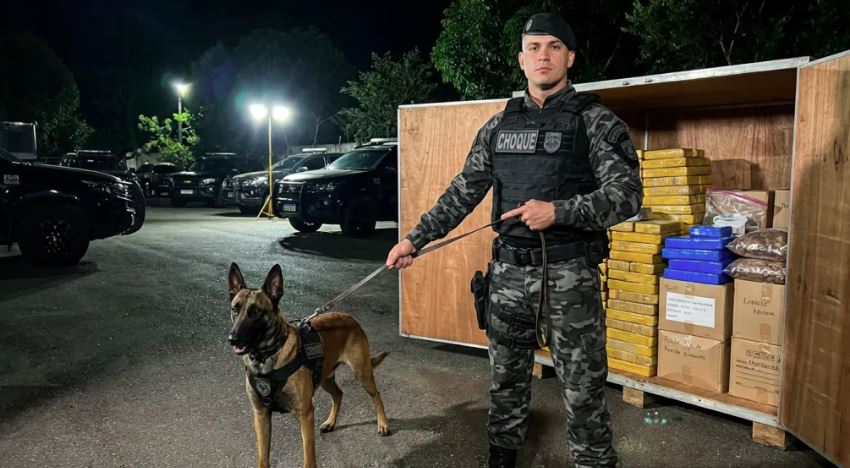 Polícia apreendeu mais de 1,4 tonelada de maconha escondida em carreta durante ação do Batalhão de Choque em Campo Grande.