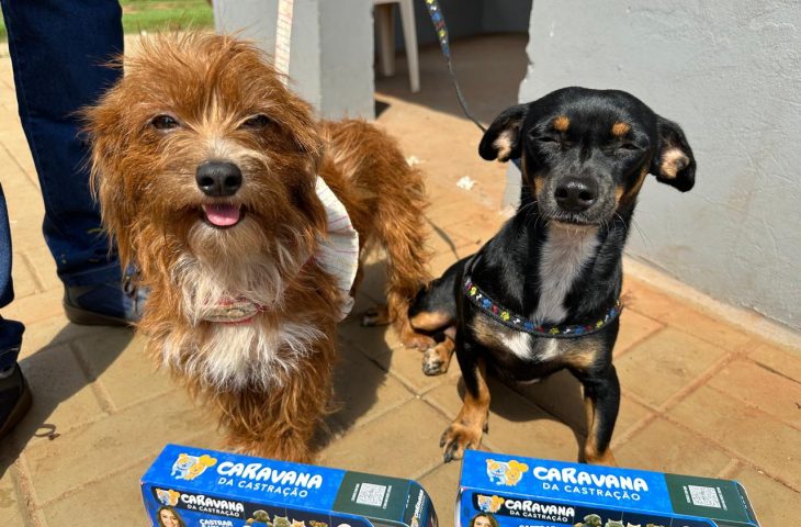 Caravana da Castração leva atendimento veterinário gratuito e controle populacional de cães e gatos a municípios de Mato Grosso do Sul.
