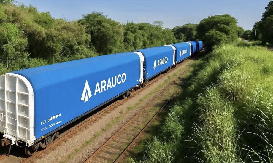 Arauco inicia obras de ferrovia que ligará sua fábrica em Inocência ao Porto de Santos