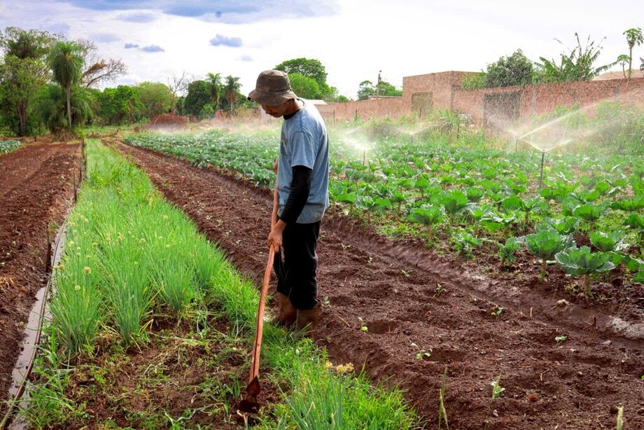 Kits de irrigação devem reforçar a produção das hortas atendidas pelo AgroIntegra CG.