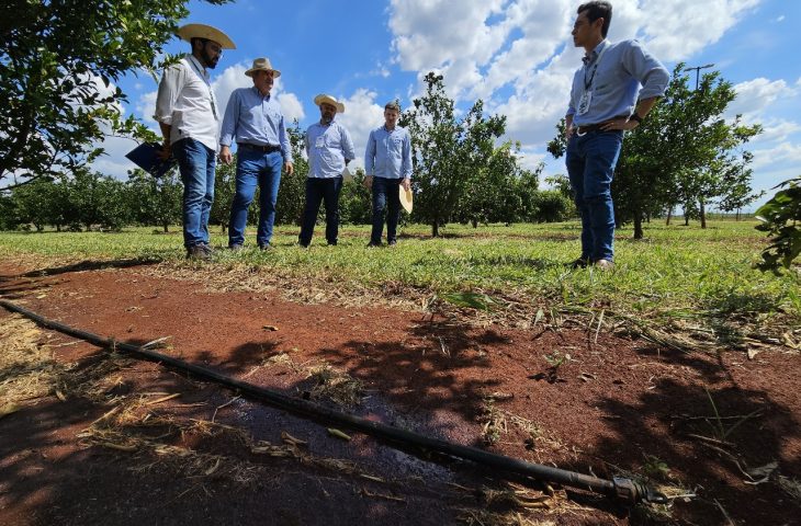 MS Irriga capacita produtores com curso prático sobre irrigação e reforça expansão da fruticultura no estado.