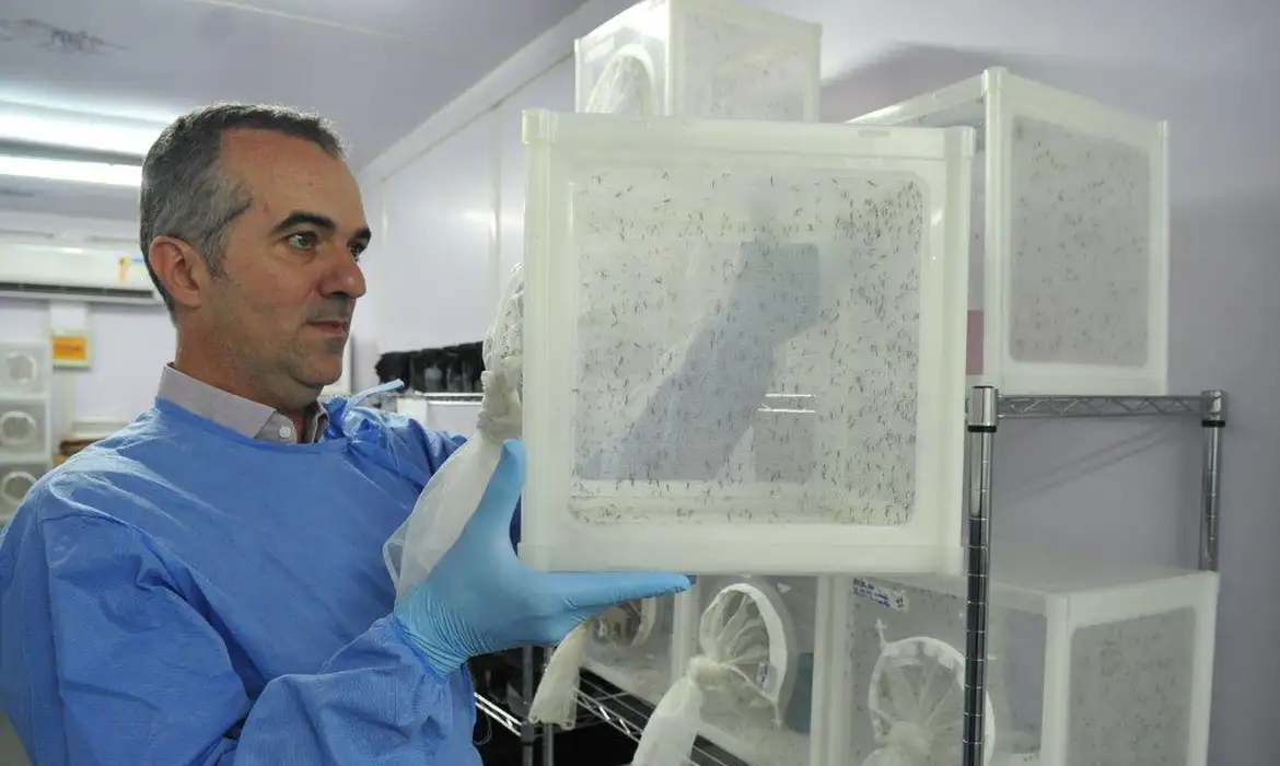 Agrônomo brasileiro entra na lista Nature's 10 por método de combate à dengue.