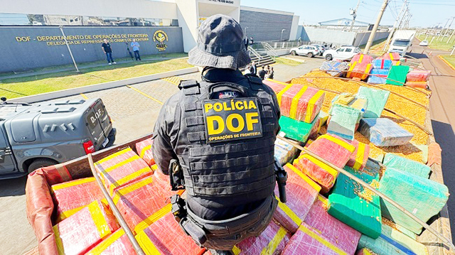 Apreensões realizadas pelo DOF em 2025 colocam MS entre os estados com maior volume de drogas interceptadas.