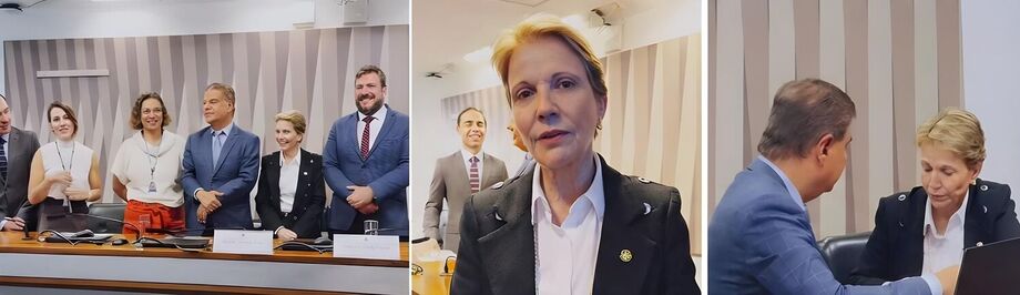 A senadora Tereza Cristina (PPMS) e senador Nelsinho Trad (PSDMS) protocolaram nesta quarta-feira (03 de dezembro) o relatório final da Comissão Temporária para Interlocução sobre as Relações Econômicas Bilaterais com os Estados Unidos (CTEUA).