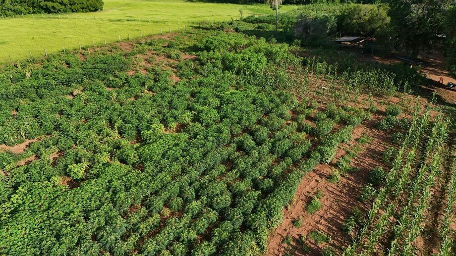 Ações da Secretaria de Desenvolvimento Rural fortaleceram a produção e a renda da agricultura familiar em Nioaque em 2025