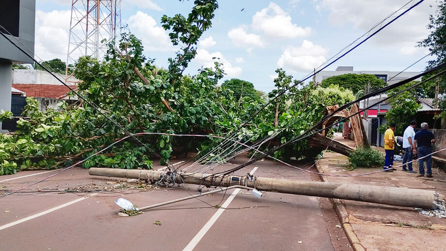 Ventos de até 100km/h atingiram principalmente a região noroeste de Dourados, provocando queda de árvores e um poste