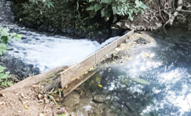 Área de nascentes em Bonito, região famosa pelas águas cristalinas, é alvo de investigação por suspeita de dano ambiental em ponto conhecido como Nascentes Palmeirinha