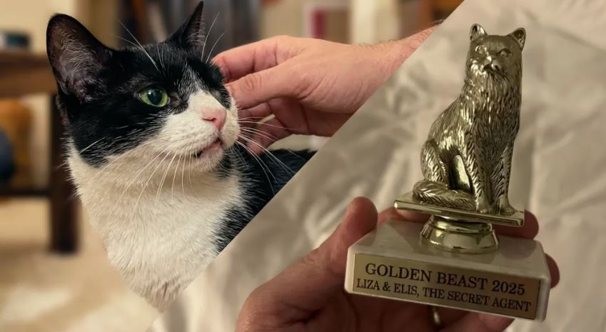 Personagem criada por computação gráfica garante novo prêmio internacional para O Agente Secreto.