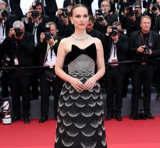 Natalie Portman criticou a falta de reconhecimento a filmes dirigidos por mulheres na temporada de premiações.