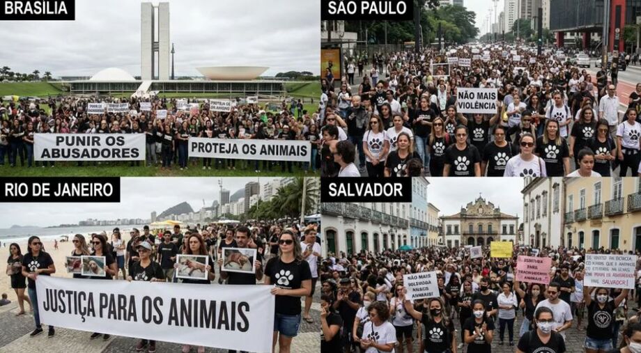 Protestos em várias capitais cobram punição para casos recentes de violência contra cães no país.
