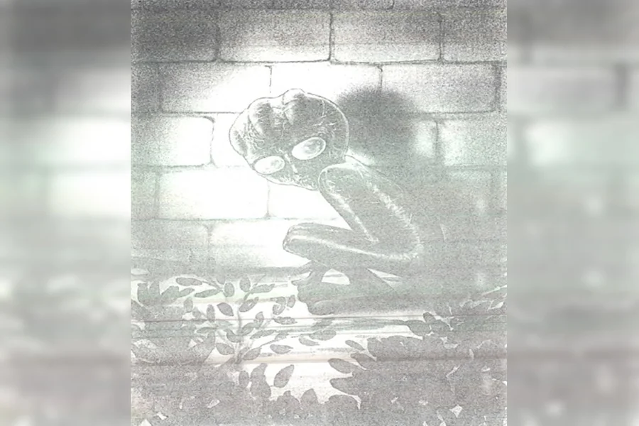 Caso do ET de Varginha completa 30 anos com documentos oficiais descartando envolvimento militar.