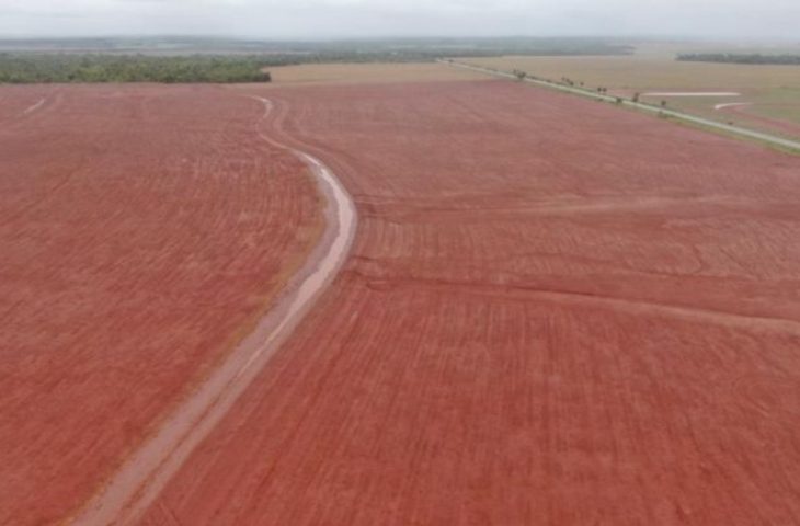 Projeto de curva de nível e terraceamento avaliado pela Câmara Técnica em propriedade rural de Bonito