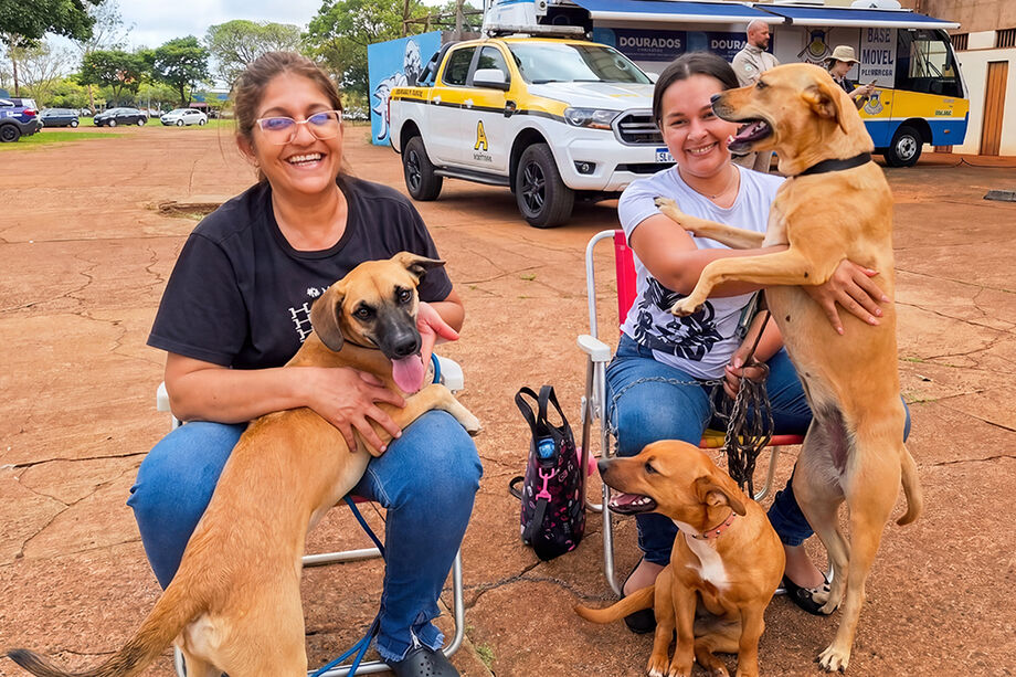 Caravana da Castração leva atendimento veterinário gratuito e ações educativas a municípios de MS