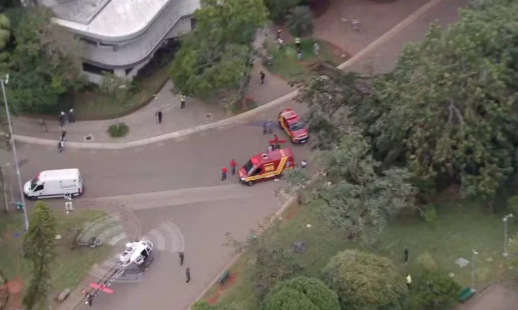 Corpo de Bombeiros e helicóptero da PM atuaram no resgate de feridos após queda de árvore no Ibirapuera.