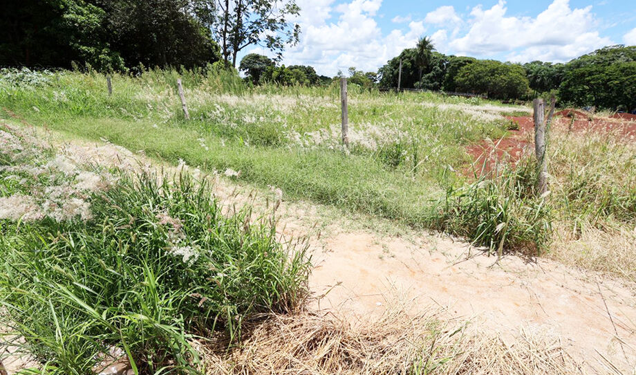 Terrenos sujos passam a gerar multa e cobrança de limpeza feita pela prefeitura em Dourados.