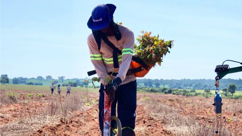 MS Florestal realiza entrevistas presenciais neste sábado para contratação de auxiliares de campo em Santa Rita do Pardo.