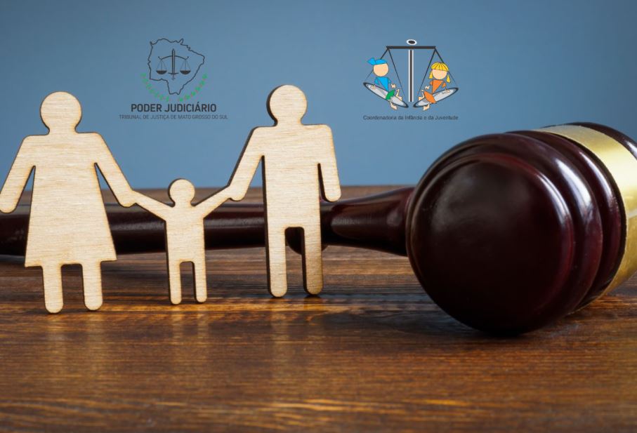 Sob coordenação de Elizabete Anache, CIJ do TJMS ampliou ações de proteção à infância e juventude em 2025.