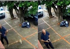 Caso foi registrado na 2ª Delegacia de Polícia, em Campo Grande; vizinho se passou por delegado para ameaçar cachorro de moradora.