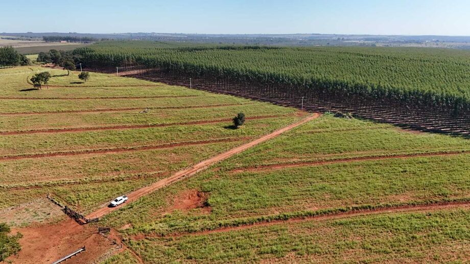 Teatro do Paço Municipal recebe nesta sexta-feira (16) o Workshop Logística Florestal 360°, com debate sobre transporte, abastecimento e integração regional.