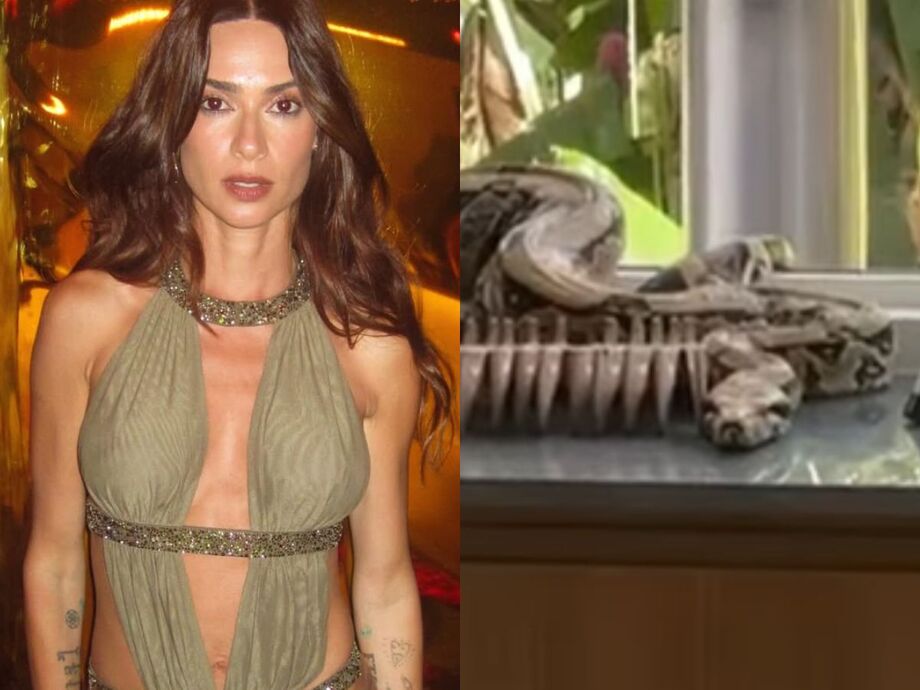 Thaila Ayala registra momento em que cobra invade casa no Rio e mobiliza o Corpo de Bombeiros.