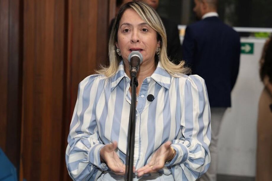 Novas leis são de autoria da deputada Lia Nogueira (PSDB)