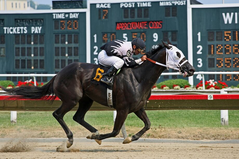 Apostas esportivas e os diferentes mercados disponíveis