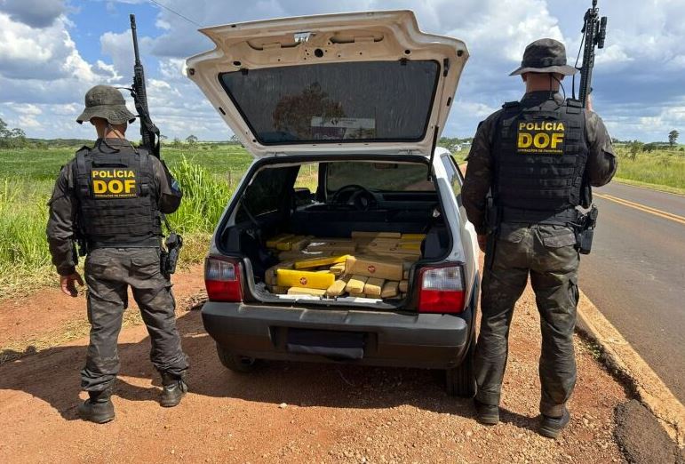 DOF apreendeu 318 quilos de maconha transportados por adolescente em rodovia de Ponta Porã.
