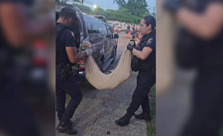 Três adolescentes foram apreendidos após morte de cão em caso de maus-tratos em Itajaí.