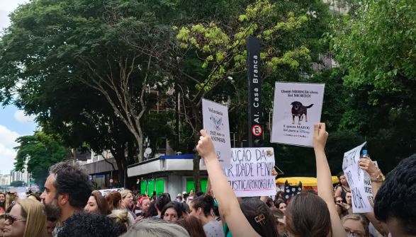 Manifestantes se reuniram na Avenida Paulista para cobrar punição aos responsáveis pela morte do cão Orelha.