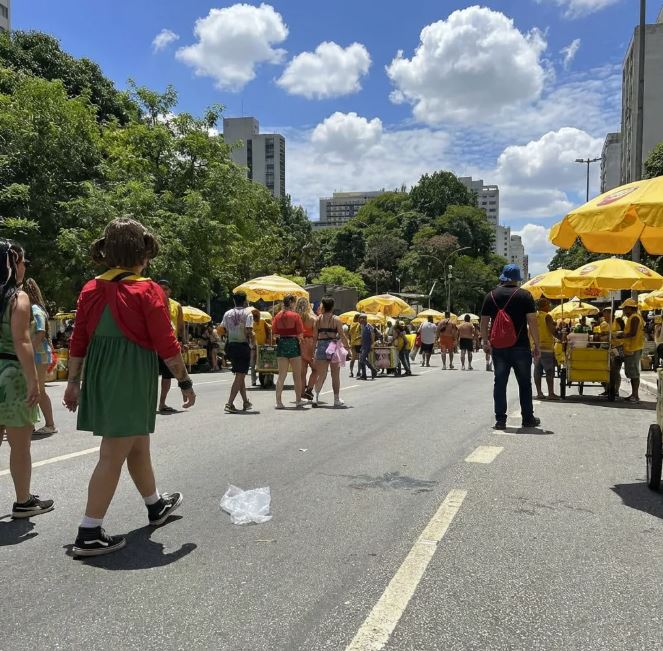 Fantasias ajudam policiais à paisana a se infiltrar nos blocos e identificar suspeitos durante o carnaval.