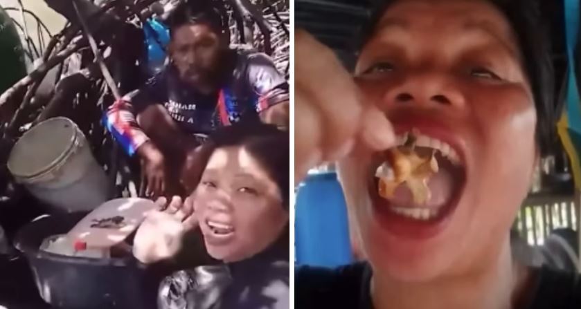 Influenciadora morreu após consumir caranguejo venenoso conhecido como caranguejo-do-diabo nas Filipinas.