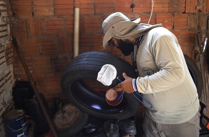 Mato Grosso do Sul soma 816 casos prováveis de dengue e mais de mil de chikungunya em 2026.