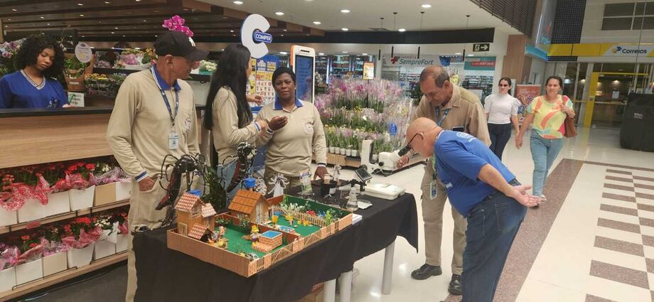 Campanha contra o mosquito da dengue segue até o fim de março em Campo Grande, com ações de orientação e fiscalização em lojas.