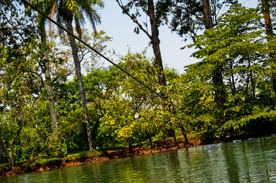 Acidente com tirolesa em fazenda na zona rural de Bonito terminou com a morte de dois jovens.