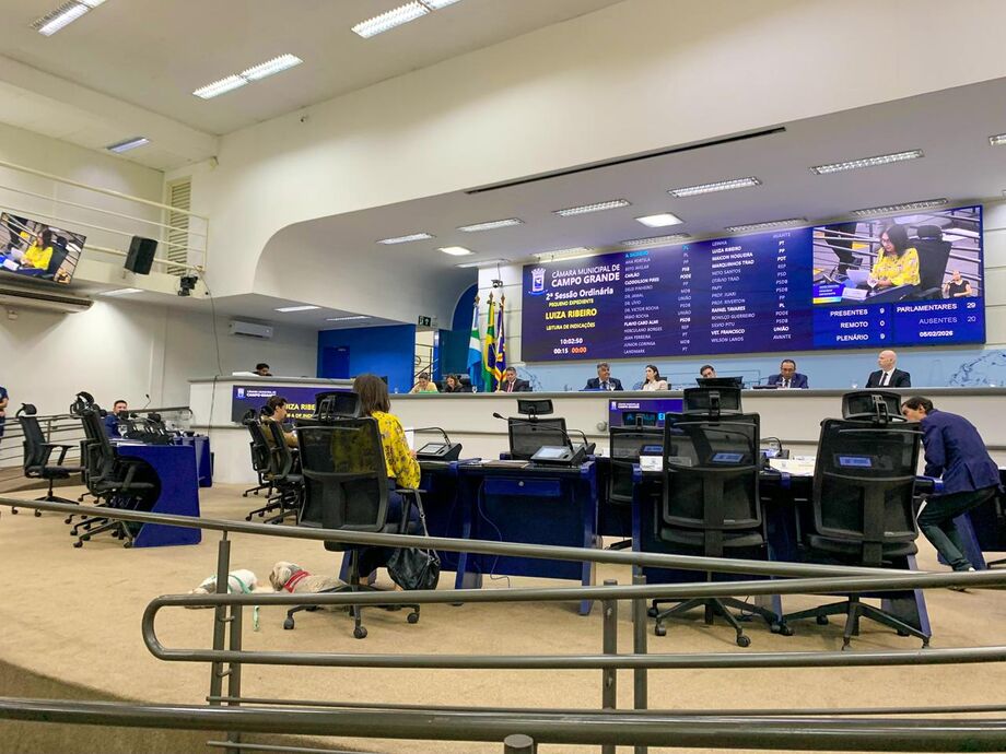 Em uma sessão marcada por ausências e a menos de um mês do início da janela partidária, vereadores apresentaram suas propostas e expectativas.