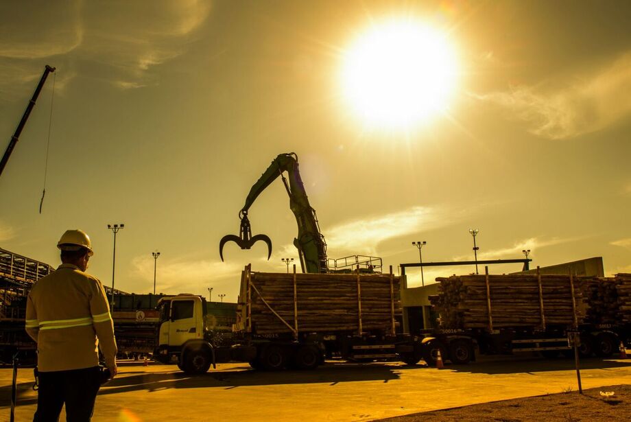 MS Florestal fará seleção presencial em Santa Rita do Pardo, Nova Alvorada do Sul e Prudêncio Thomaz para vagas com início imediato no setor florestal.