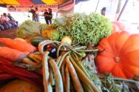 Frutas, verduras e legumes produzidos de forma natural por agricultores familiares, sem emprego de a