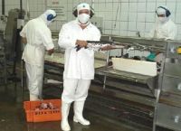 Mato Grosso do Sul exportou em 2007 mais de 181 toneladas de filés (tilápias e pintados) para o merc