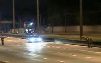 Quatro cavalos estavam parados na Avenida Brasil quando um deles foi atingido por um carro em alta v